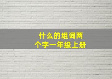 什么的组词两个字一年级上册