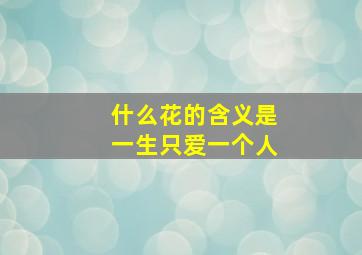 什么花的含义是一生只爱一个人