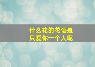 什么花的花语是只爱你一个人呢