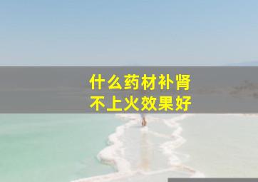 什么药材补肾不上火效果好