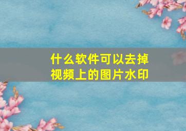 什么软件可以去掉视频上的图片水印