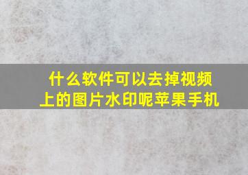 什么软件可以去掉视频上的图片水印呢苹果手机