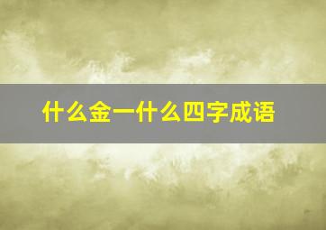 什么金一什么四字成语