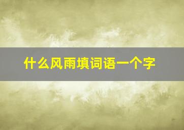 什么风雨填词语一个字