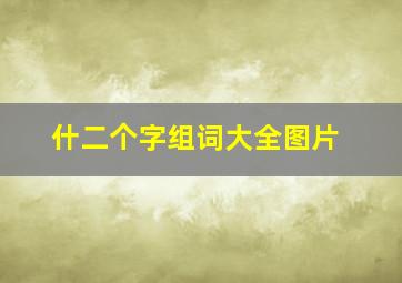 什二个字组词大全图片