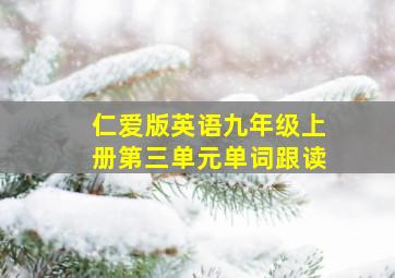 仁爱版英语九年级上册第三单元单词跟读