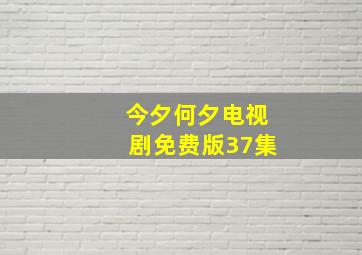 今夕何夕电视剧免费版37集