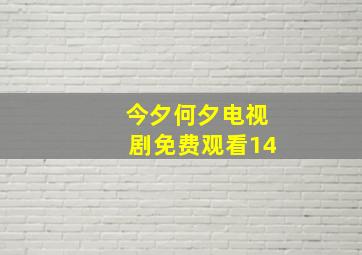 今夕何夕电视剧免费观看14