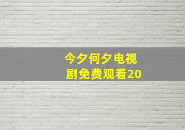 今夕何夕电视剧免费观看20