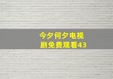 今夕何夕电视剧免费观看43