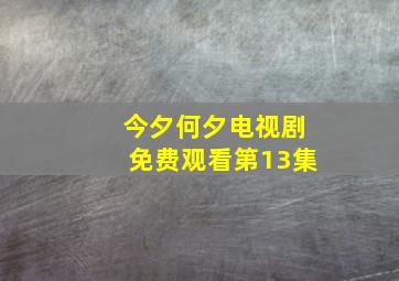 今夕何夕电视剧免费观看第13集