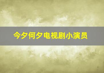 今夕何夕电视剧小演员