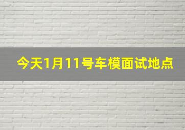 今天1月11号车模面试地点