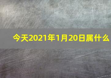 今天2021年1月20日属什么