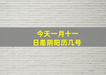 今天一月十一日是阴阳历几号