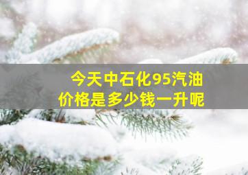 今天中石化95汽油价格是多少钱一升呢