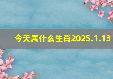 今天属什么生肖2025.1.13