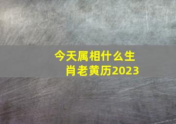 今天属相什么生肖老黄历2023