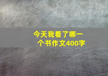 今天我看了哪一个书作文400字