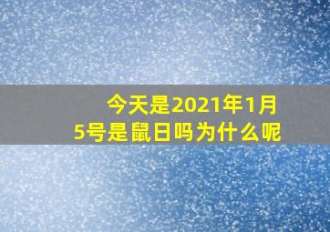 今天是2021年1月5号是鼠日吗为什么呢