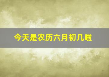 今天是农历六月初几啦