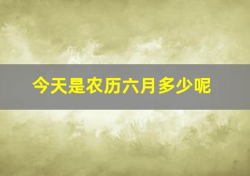 今天是农历六月多少呢