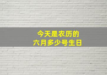 今天是农历的六月多少号生日