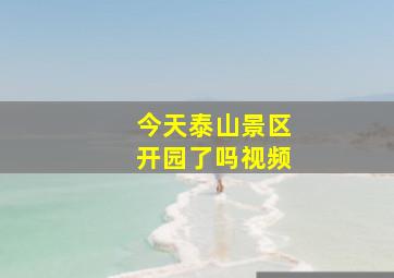 今天泰山景区开园了吗视频