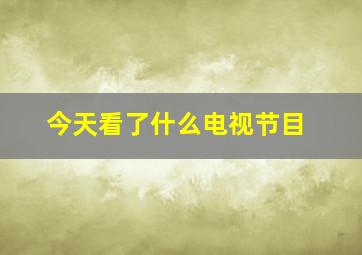 今天看了什么电视节目