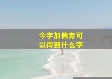 今字加偏旁可以得到什么字