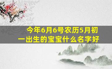 今年6月6号农历5月初一出生的宝宝什么名字好