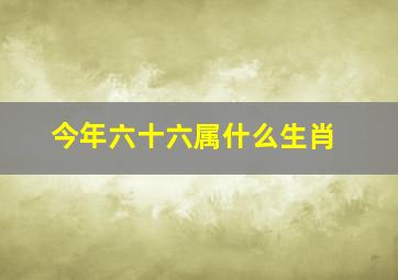 今年六十六属什么生肖