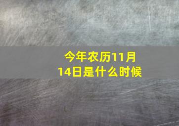 今年农历11月14日是什么时候