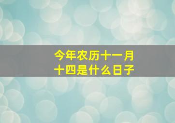 今年农历十一月十四是什么日子