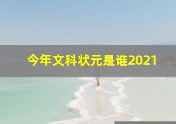 今年文科状元是谁2021