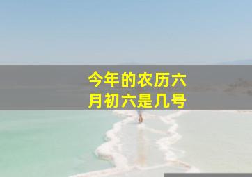 今年的农历六月初六是几号