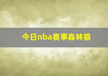 今日nba赛事森林狼