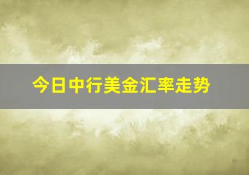 今日中行美金汇率走势