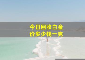 今日回收白金价多少钱一克