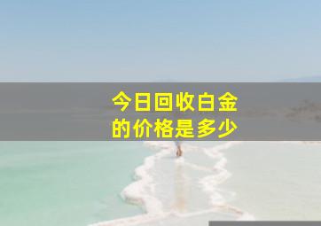 今日回收白金的价格是多少