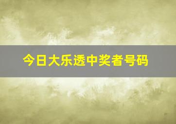 今日大乐透中奖者号码