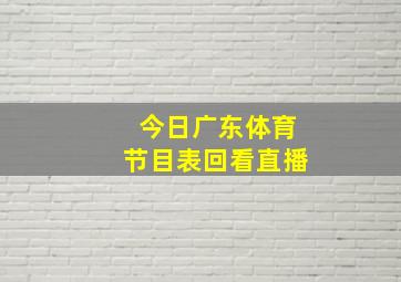 今日广东体育节目表回看直播