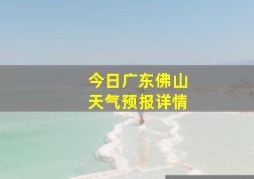 今日广东佛山天气预报详情