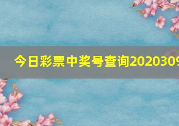 今日彩票中奖号查询2020309