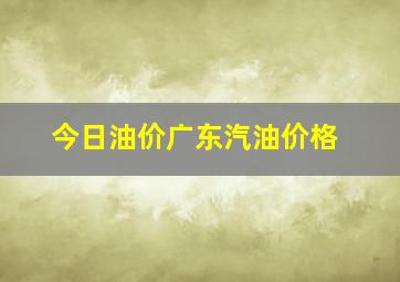 今日油价广东汽油价格