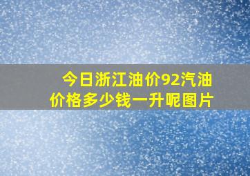 今日浙江油价92汽油价格多少钱一升呢图片