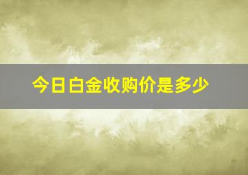 今日白金收购价是多少