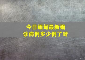 今日缅甸最新确诊病例多少例了呀