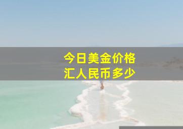 今日美金价格汇人民币多少