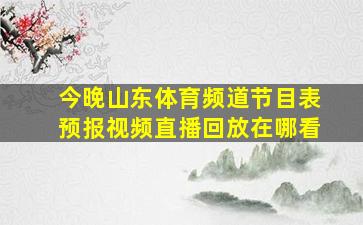 今晚山东体育频道节目表预报视频直播回放在哪看